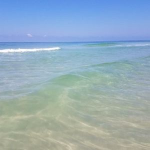 Meet your Posher, Dawn